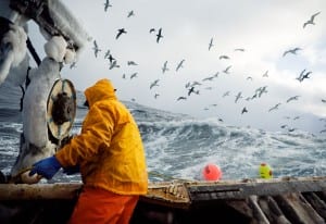 Fish-Work: The Bering Sea by Corey Arnold 
